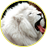 lionmaximus